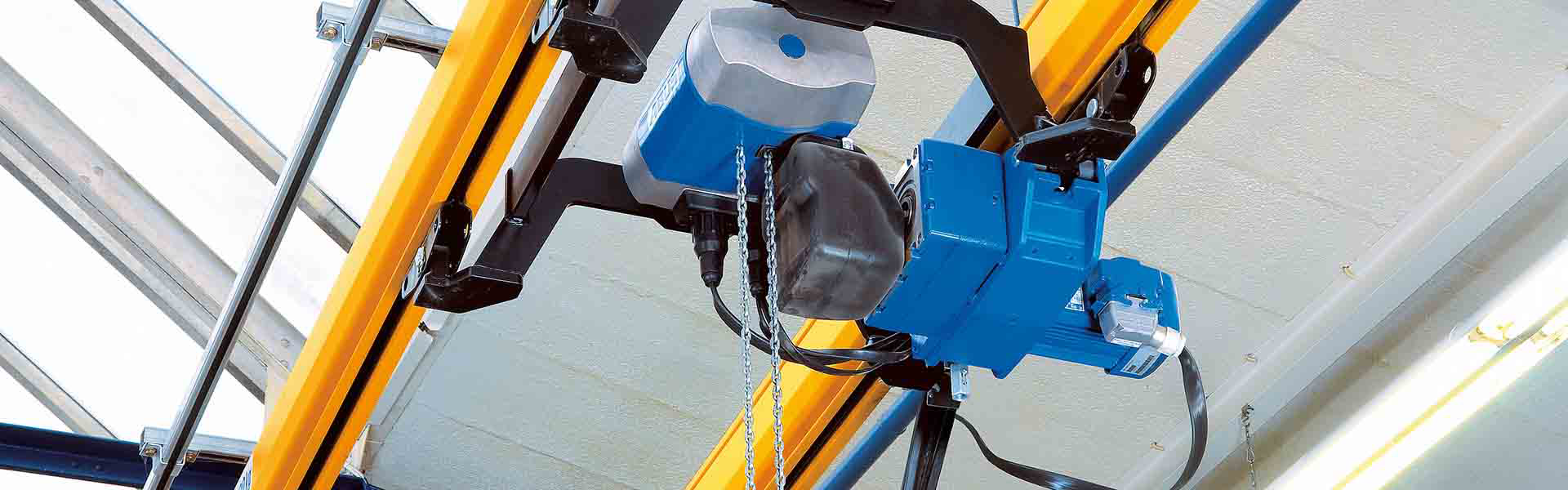 Electric chain hoist